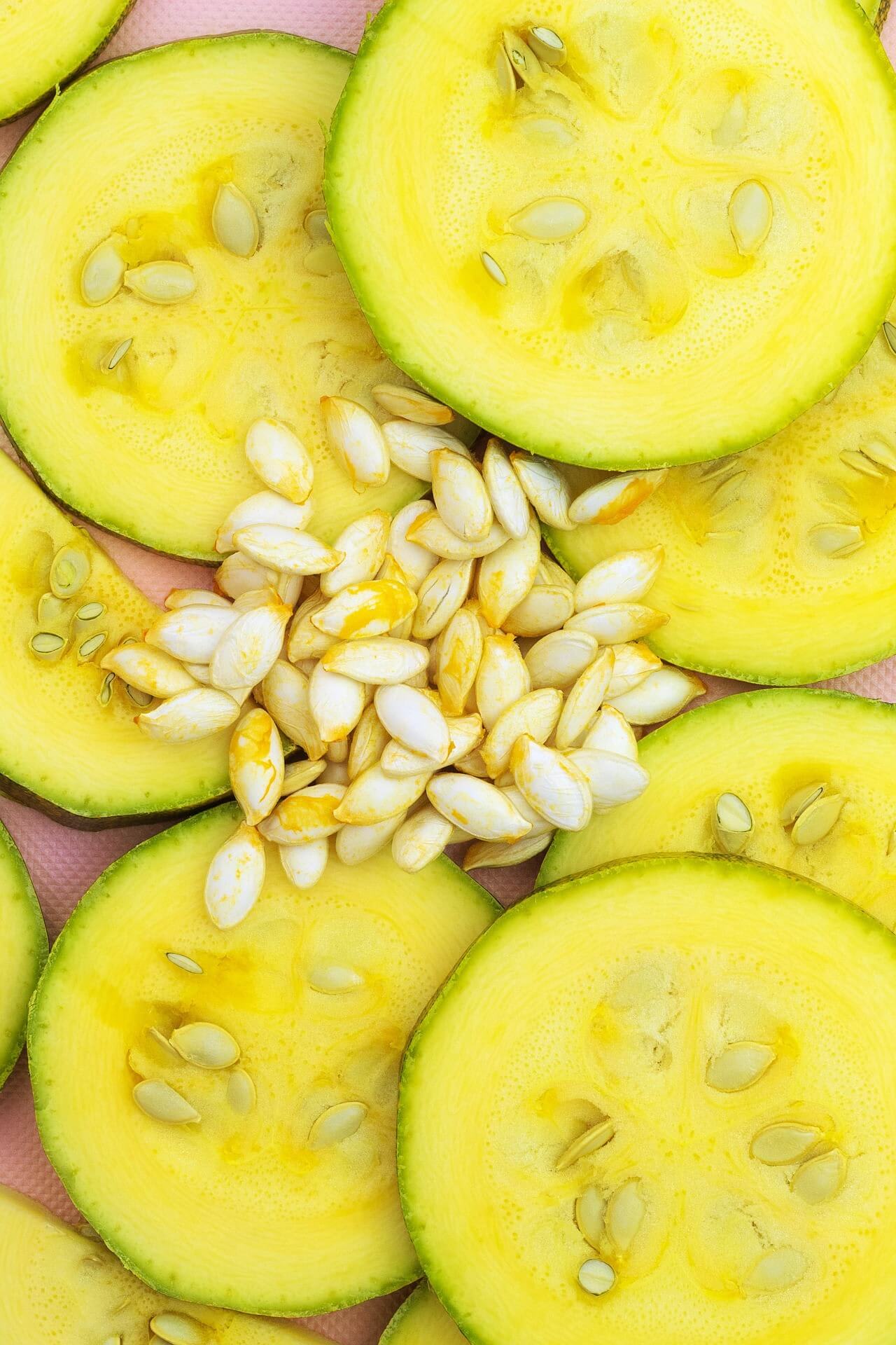 Courgettes fraîches du potager